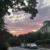 IMG_9815.jpeg