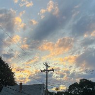 IMG_9805.jpeg