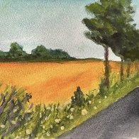 IMG_1198.jpeg