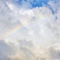 DSC_0069.jpeg