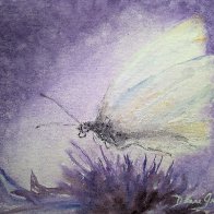 10-Whimsical-Whimsical Purple.jpg