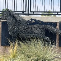 IMG_6358.jpeg