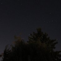 IMG_6485.JPG