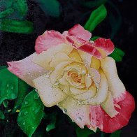 IMG_20260820_142211.jpg