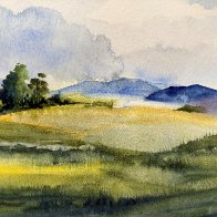 Soft Meadows.JPG