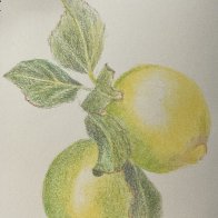 IMG_2148.jpeg