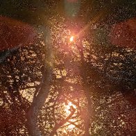 Creative Lens Flare.jpg
