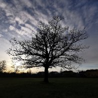 December Afternoon (Divača, Slovenia).jpg