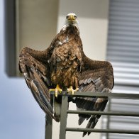 IMG_8414.jpeg