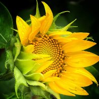 IMG_8410.jpeg