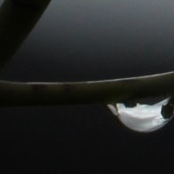 IMG_7650(1).JPG