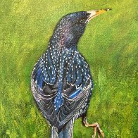 IMG_1696.jpeg