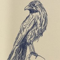 IMG_2158.jpeg