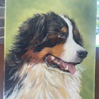 dog.jpg