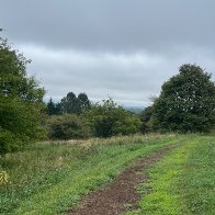 IMG_9910.jpeg