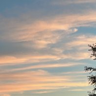 IMG_9915.jpeg