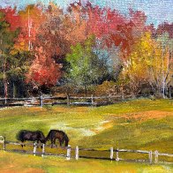 Fall Splendor 4.JPG
