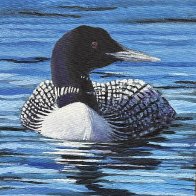 RobertPointer_Loonr2026.jpg