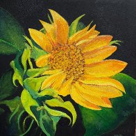 RobertPointer_Sunflower2026.jpg