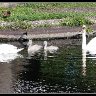 Family Outing