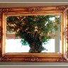 Tree in the Mirror
