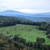Slovenian Landscape (Prem, Slovenia).jpg