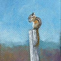 chipmunk.jpg