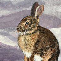 rabbit.jpg