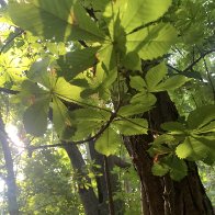 IMG_0814.jpeg
