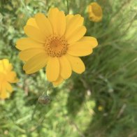 IMG_0825.jpeg