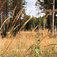 IMG_6966.jpeg