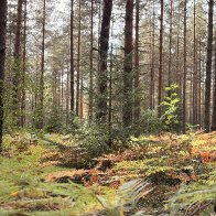 IMG_6989.jpeg