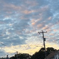 IMG_9966.jpeg