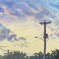 IMG_9984.jpeg