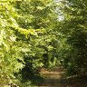Path to the future 