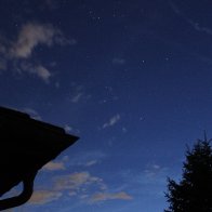 IMG_9941.JPG