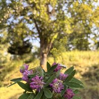 IMG_6283.jpeg