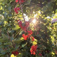 IMG_6375.jpeg