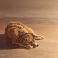 Sleeping dog.jpeg