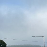 IMG_9977.jpeg