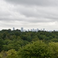_DSC0260.jpeg