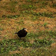 IMG-20260907-WA7046.jpg