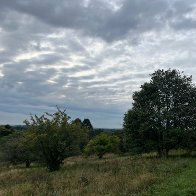 IMG_0090.jpeg