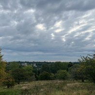 IMG_0091.jpeg