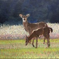 deer_2026.jpg