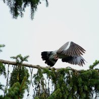 IMG_1357.JPG