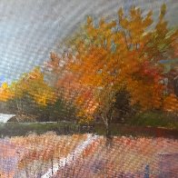 Fall Color.JPG