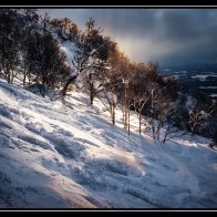 IMG_7308.jpeg