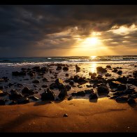 IMG_7305.jpeg