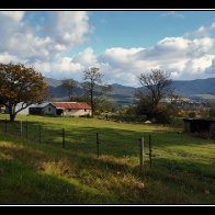 IMG_7299.jpeg